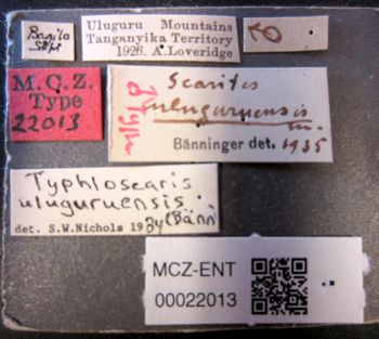 Media type: image;   Entomology 22013 Aspect: labels